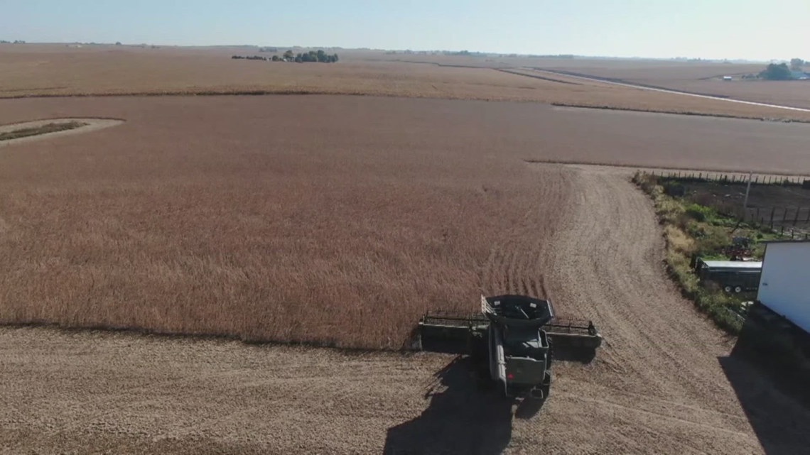 Iowa soybean farmers face growing storage challenges amid halted China trade deals