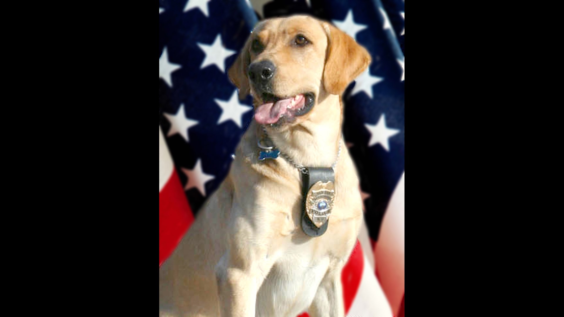 Bettendorf K-9 officer dies | wqad.com