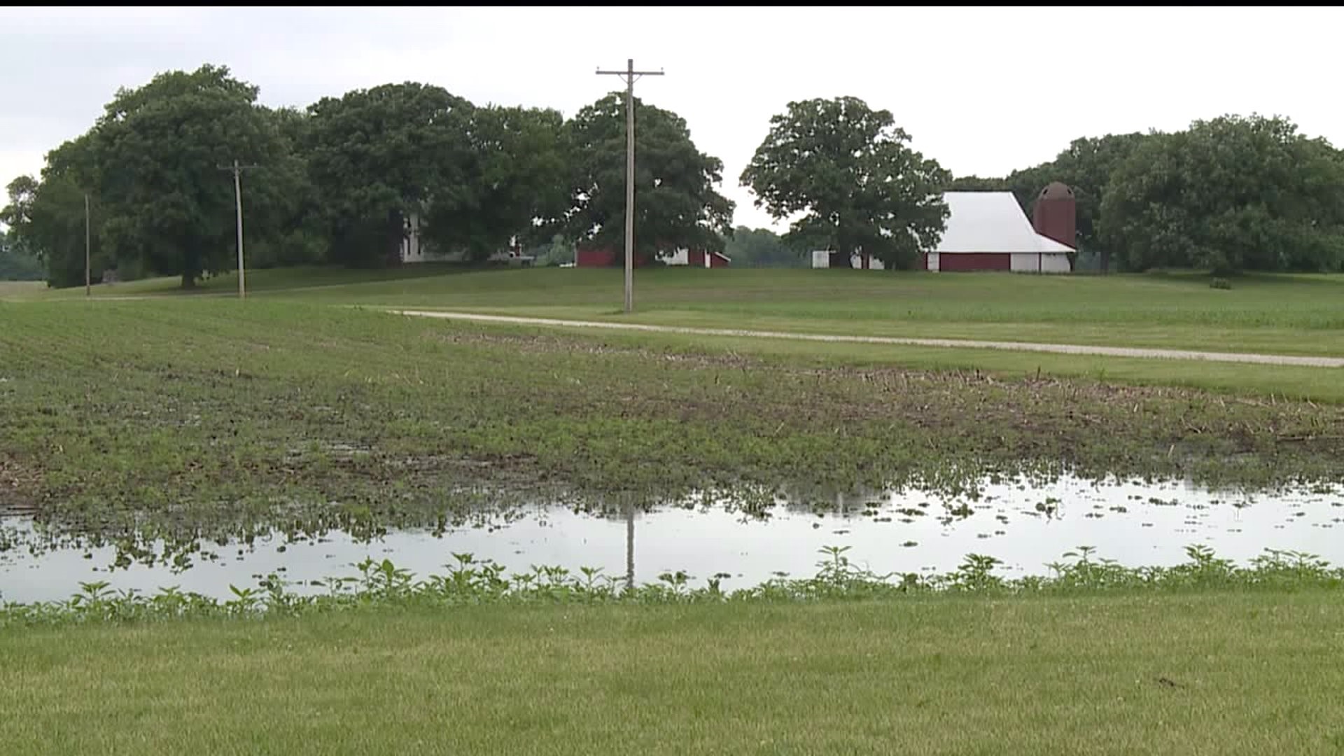 Hail and flooding damages local crops