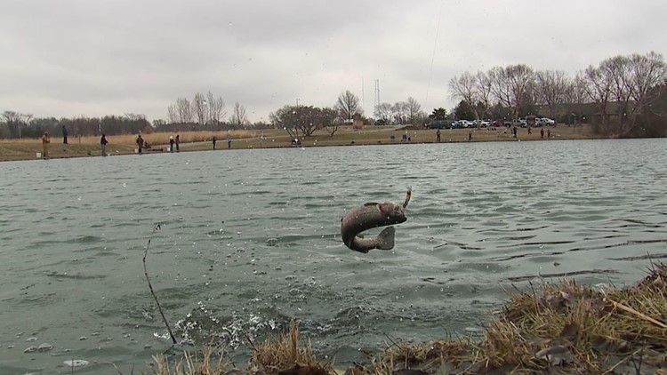 Dozens come to reel in the freshest catch at Discovery Park following trout release