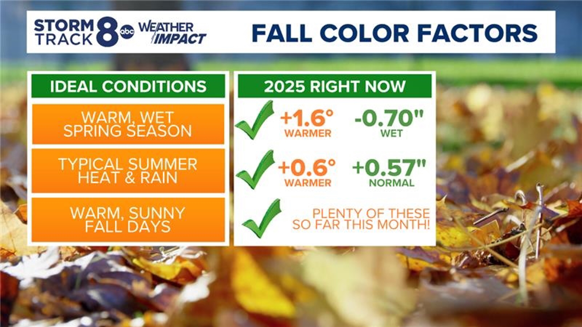 Where to find fall colors in the Quad Cities | wqad.com