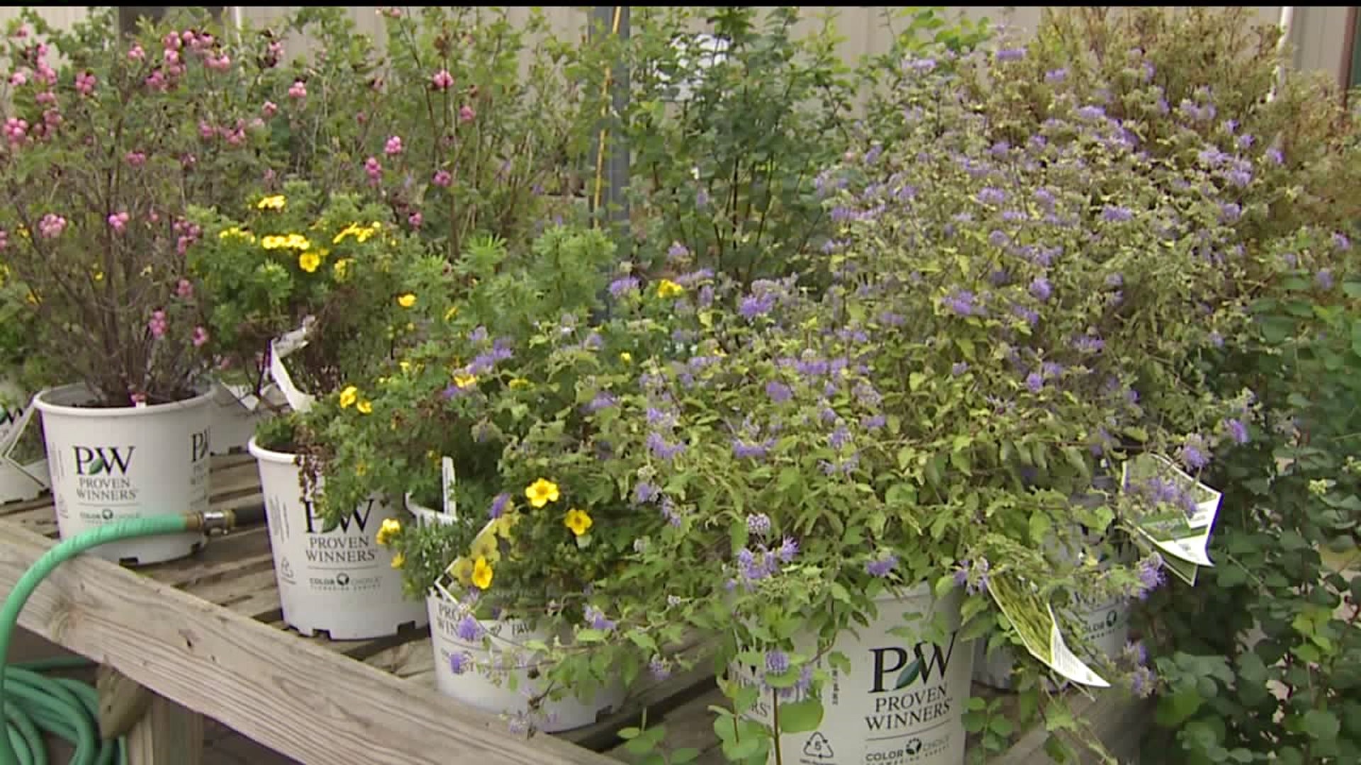 Growing season could end this weekend