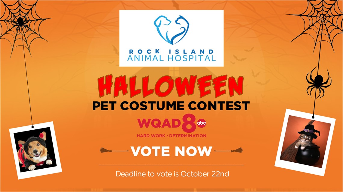 Halloween Pet Costume Contest