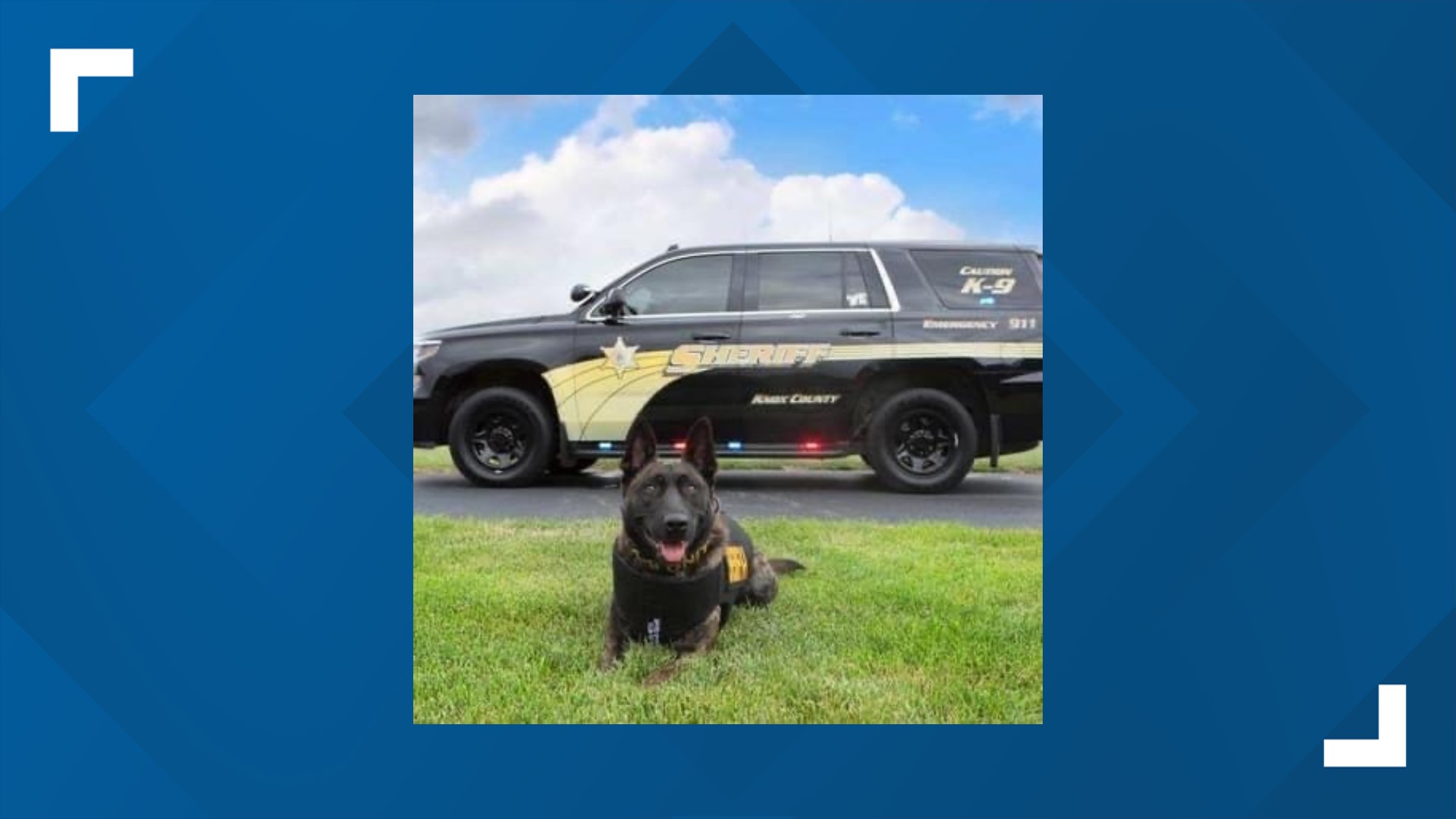 Knox County Sheriff hosting K-9 fundraiser | wqad.com