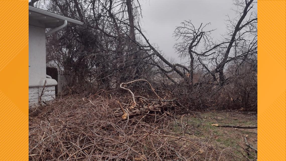NWS Quad Cities confirms, details Rock Island and Colona tornadoes