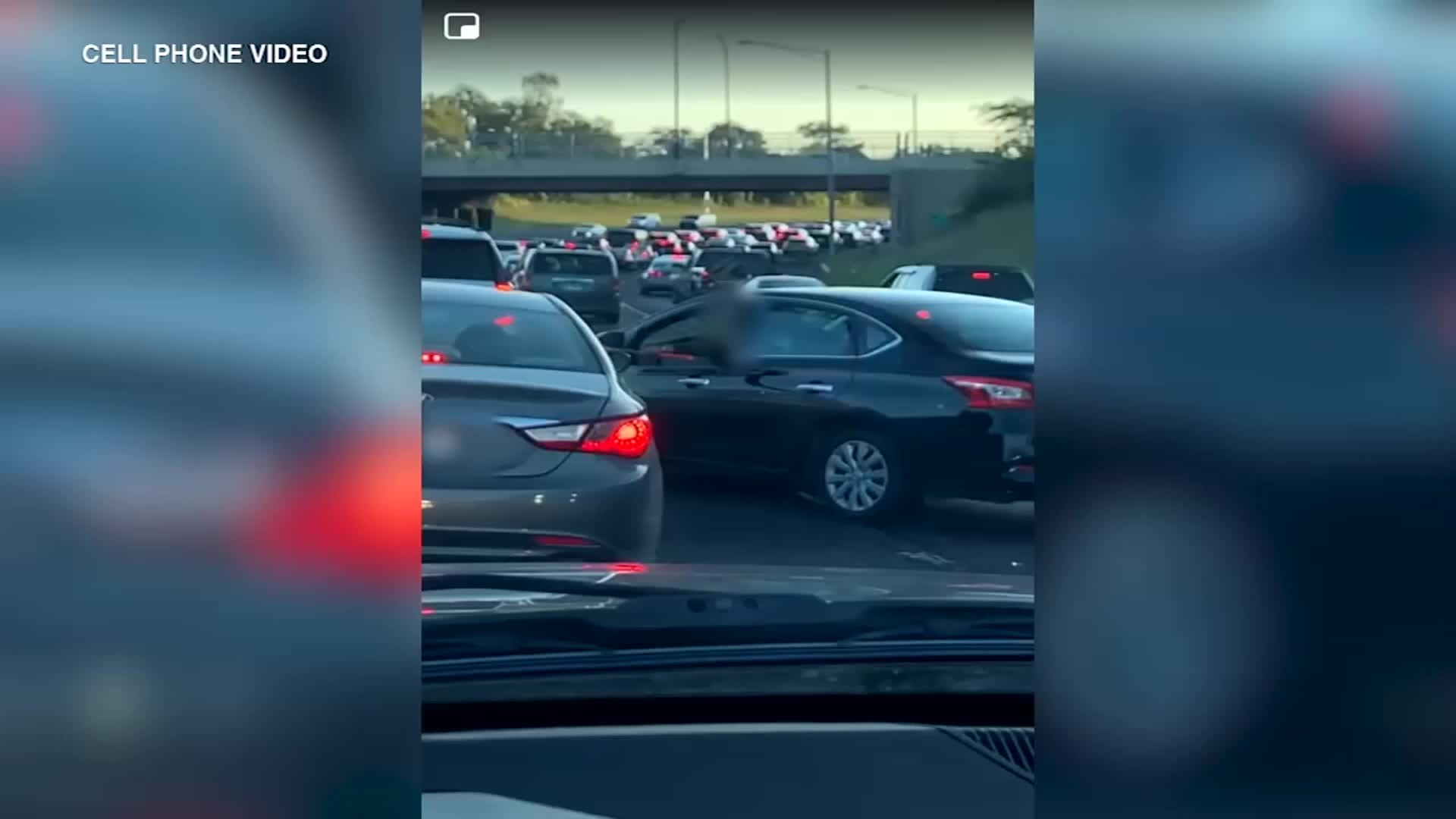 Viral Road Rage Video