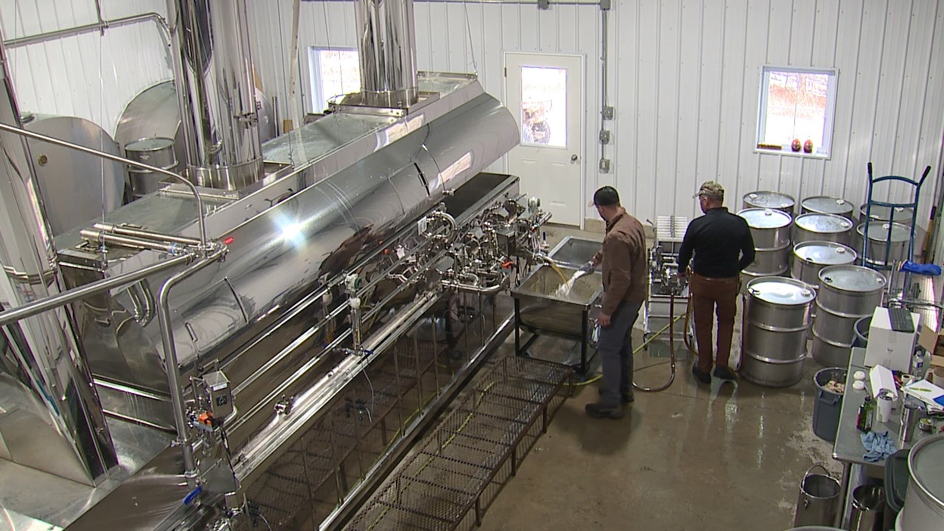 Big Timber Maple's maple syrup making season is off to an early start, with sap flowing two weeks early this year.