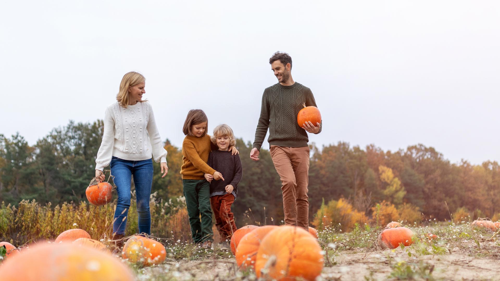 Fun fall activities in the Quad Cities | wqad.com