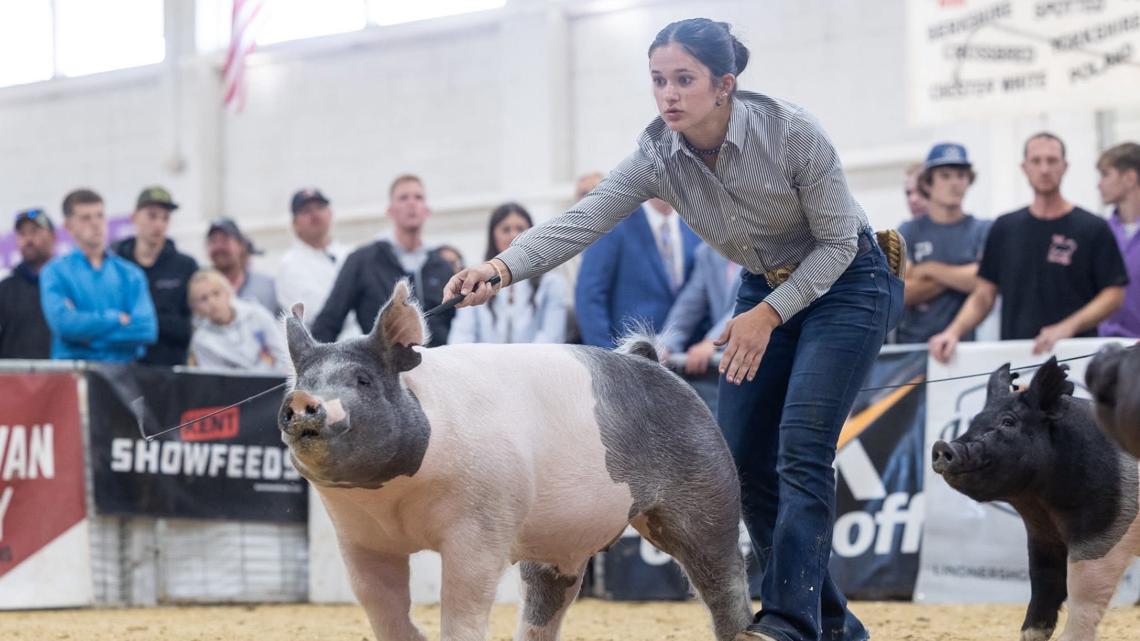 Atkinson junior named Illinois FFA state winner in swine production