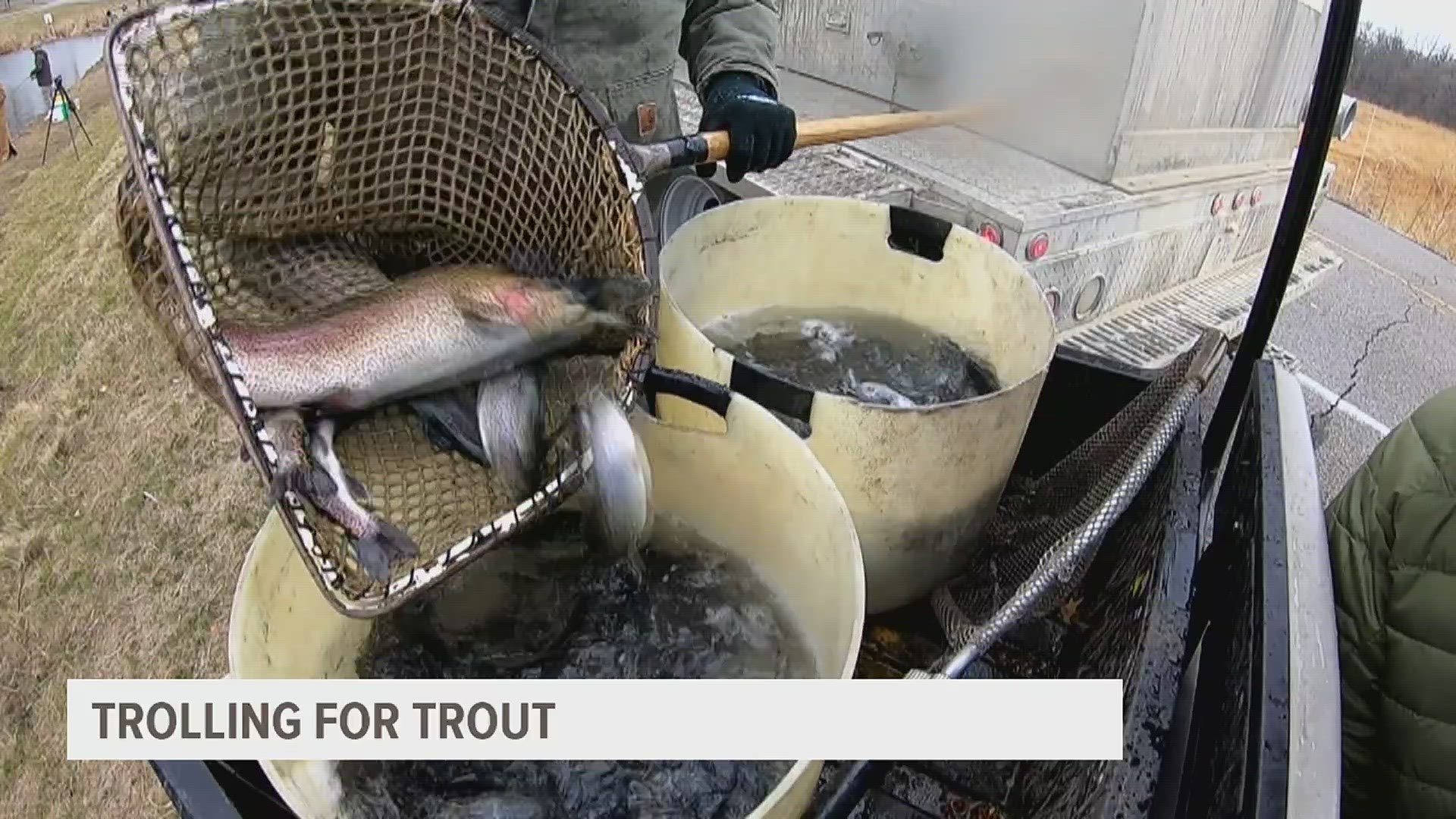 The Iowa Department of Natural Resources added 1,000 rainbow trout to the pond at Discovery Park in Muscatine.