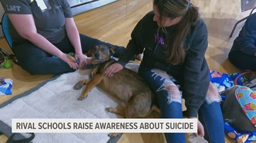 Sherrard and Rockridge High School set aside rivalry to raise suicide prevention awareness