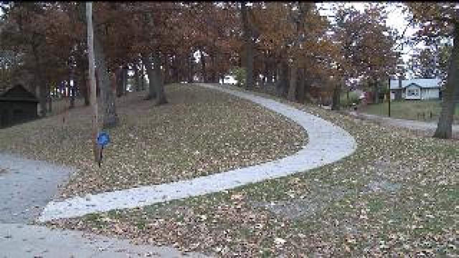Moline seeking volunteers to rake leaves