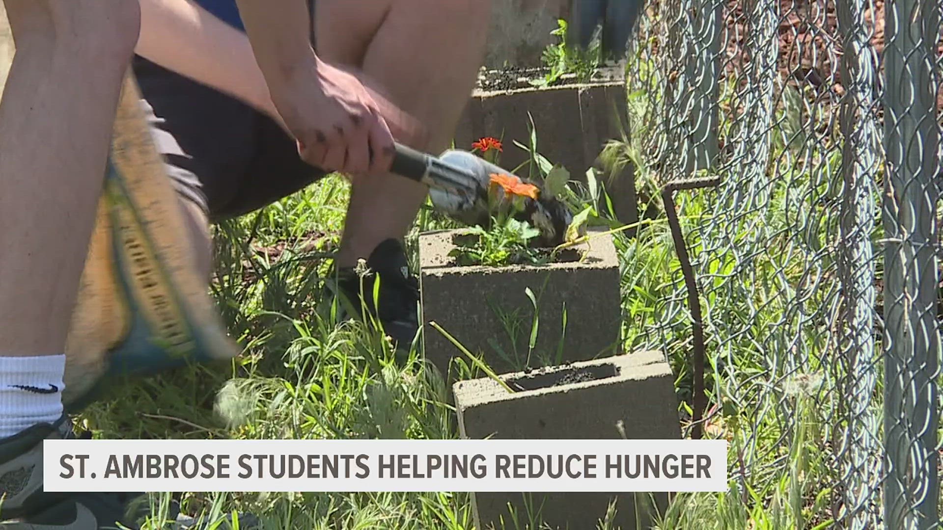 They're growing fruits and vegetables in a community garden with the help of People Uniting Neighbors and Churches, or P.U.N.C.H., a community outreach organization.