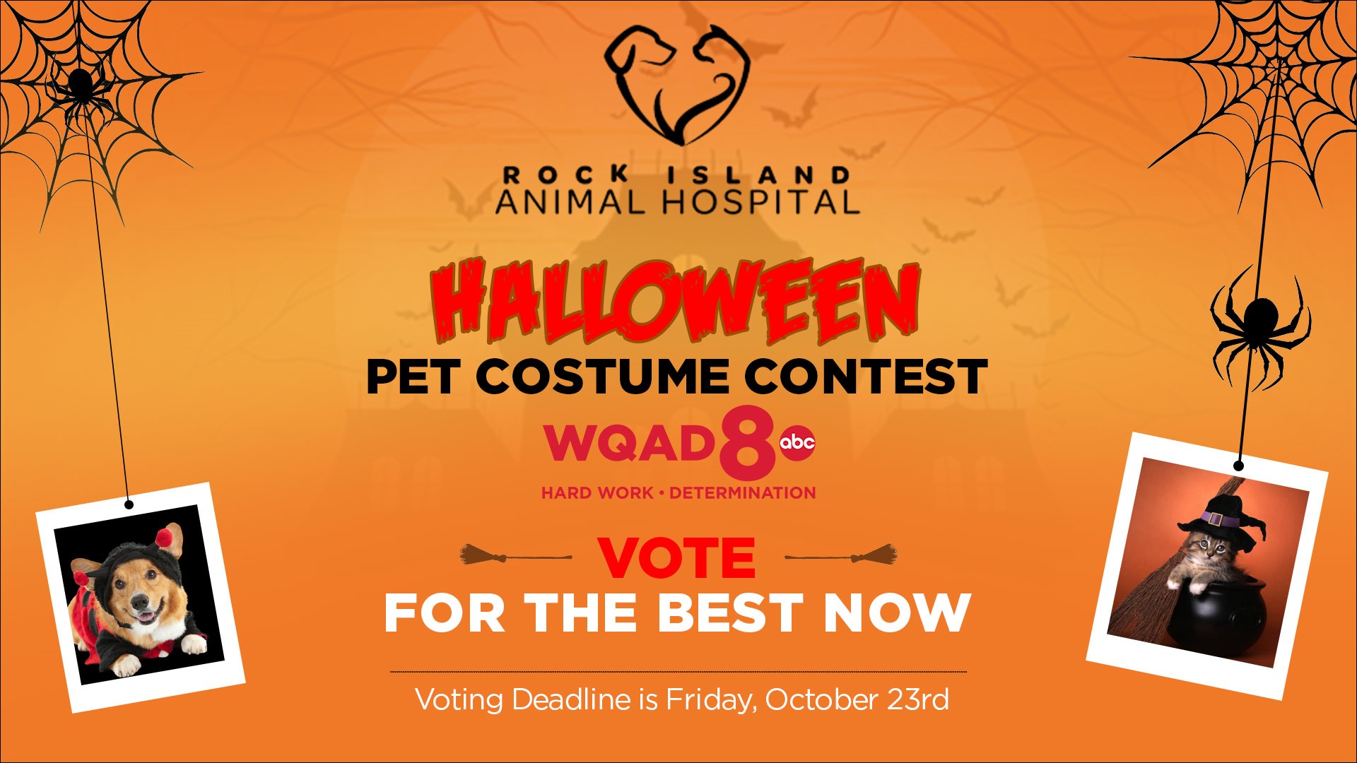 Halloween Pet Costume Contest Official Rules