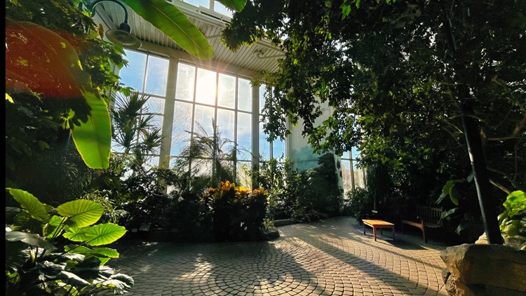 QC Botanical Center needs diverse voices to accompany new 'Plants of the World' exhibit