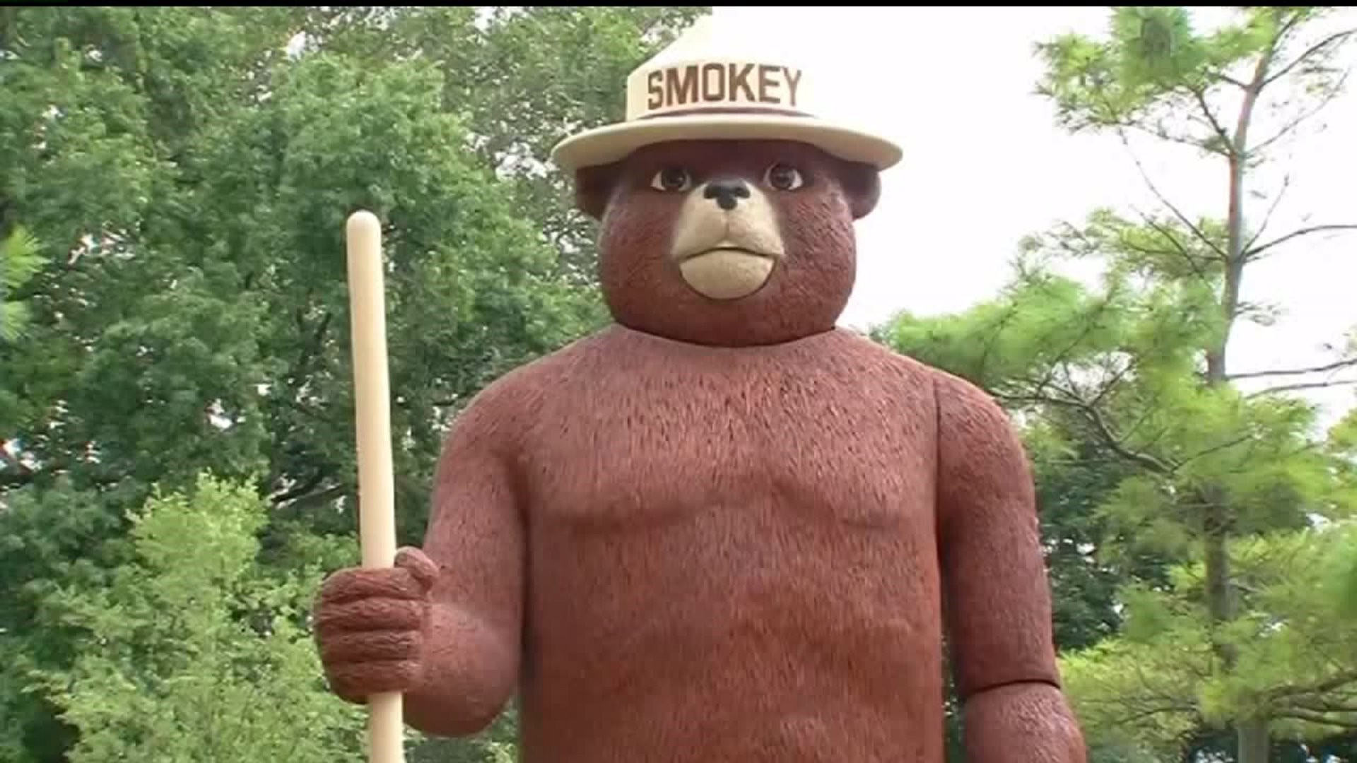 Smokey the bear turns 75