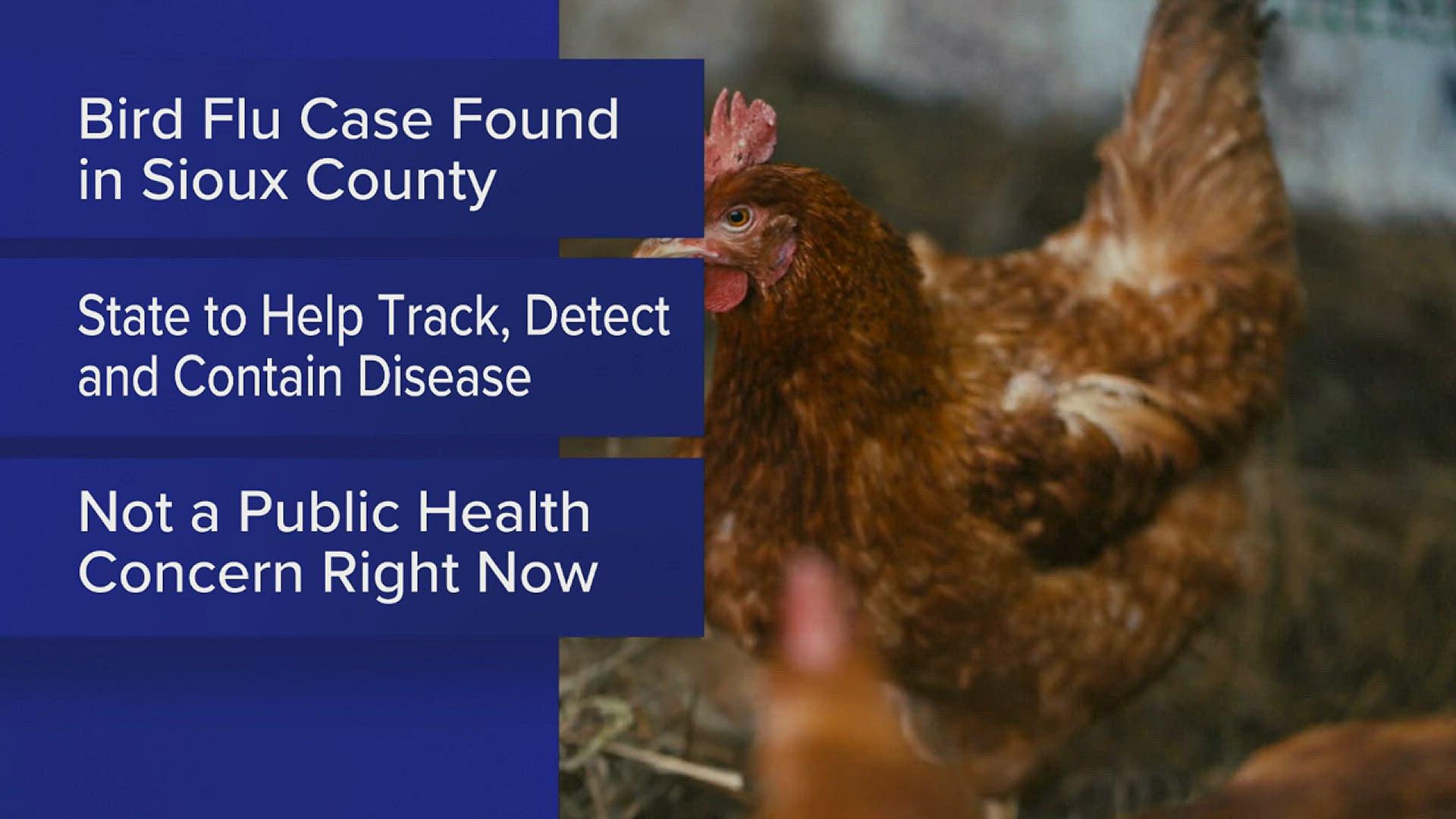 The USDA confirmed a case of bird flu in a flock of commercial chickens.