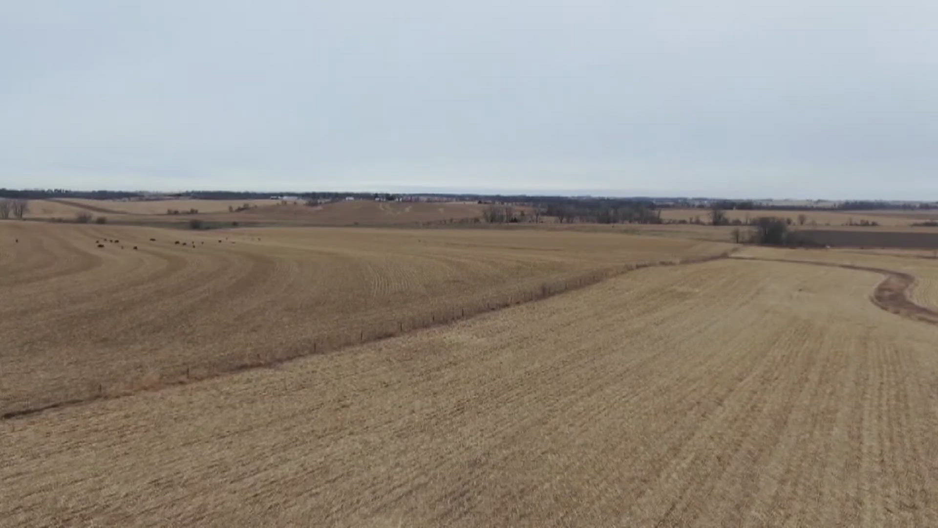 The pipeline would have passed through Scott, Clinton, Cedar and Linn counties.