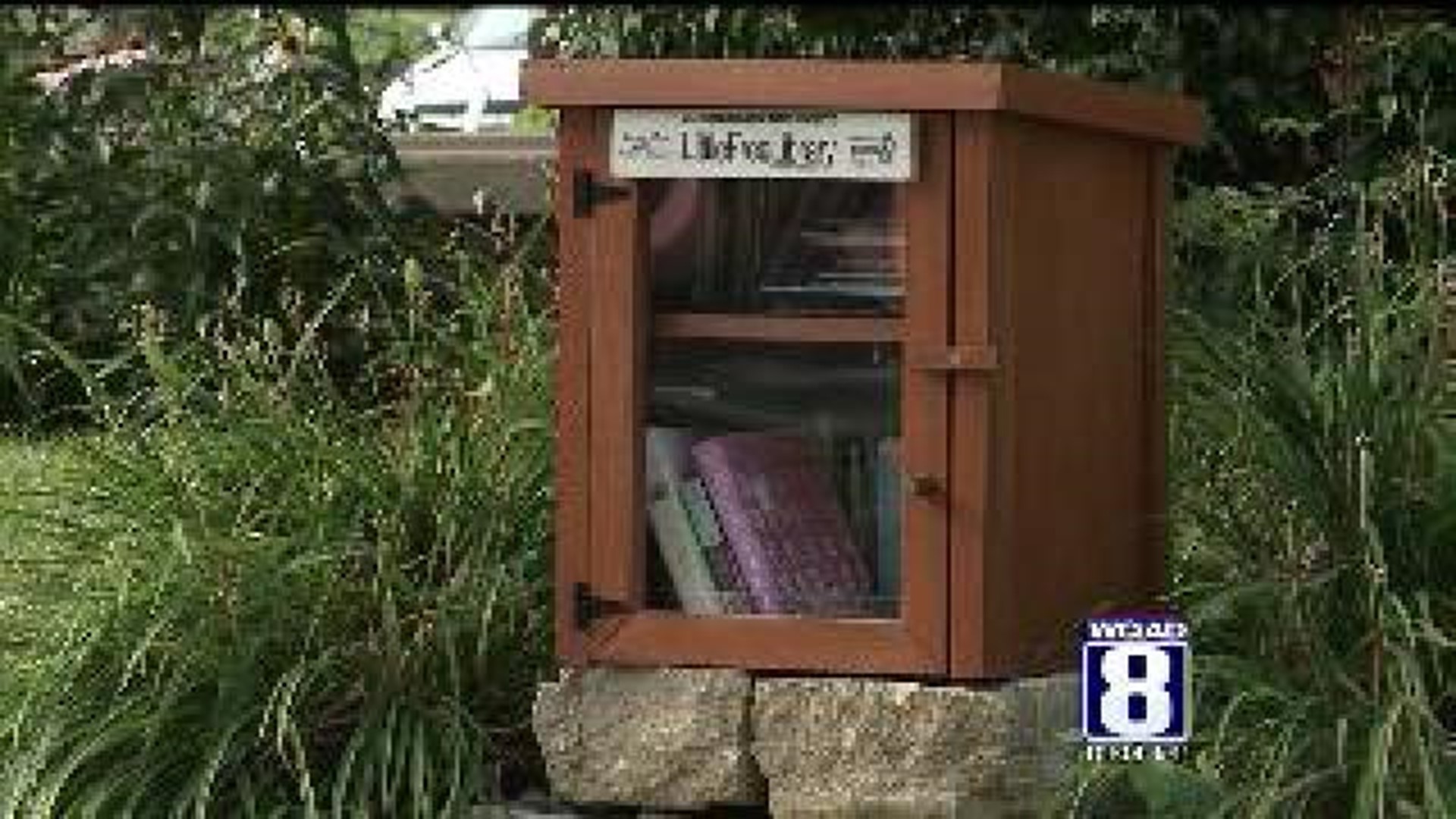 Little Free Libraries Popping Up Around The Quad Cities