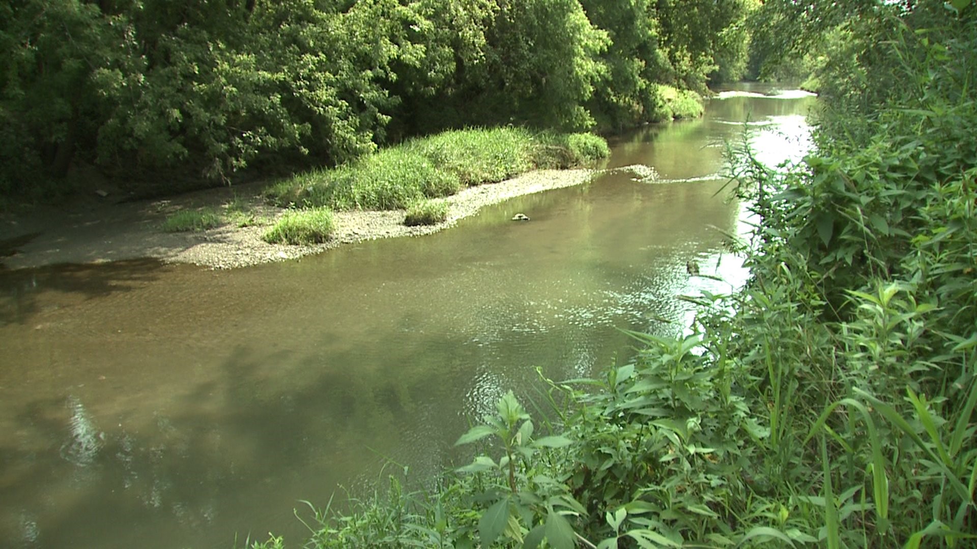 Duck Creek a pilot area for testing new pollution reduction system