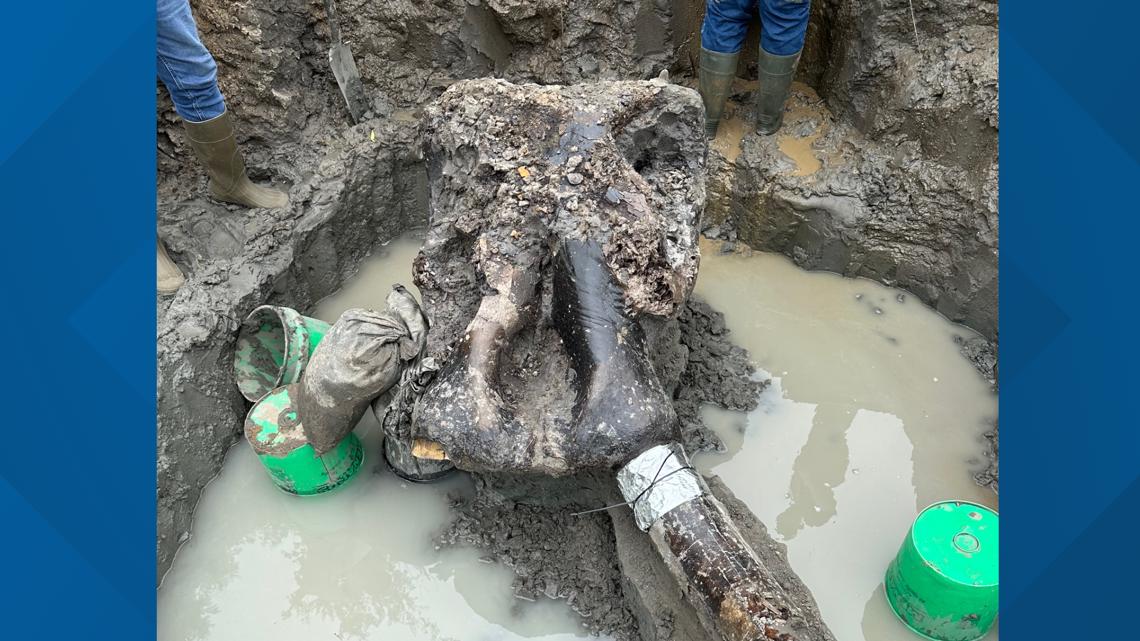 State archaeologist to reveal secrets of found Mastodon bones in Iowa