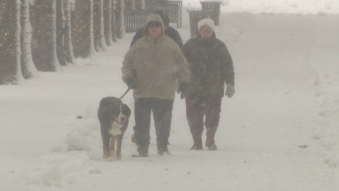 How people in Davenport spent the QC's snow day - Vimarsana News