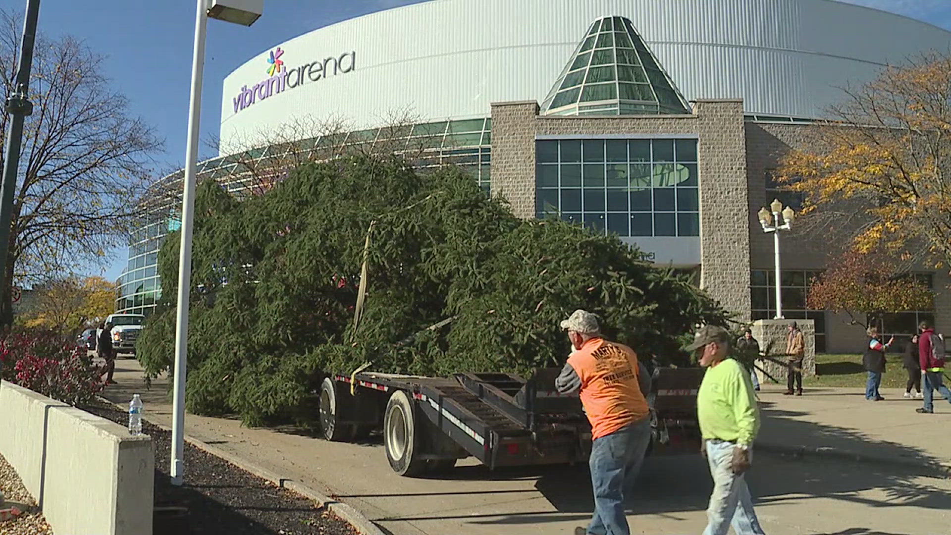 The 30-year-old Norway Spruce is around 45 feet tall and will soon be aglow with over 30,000 lights.