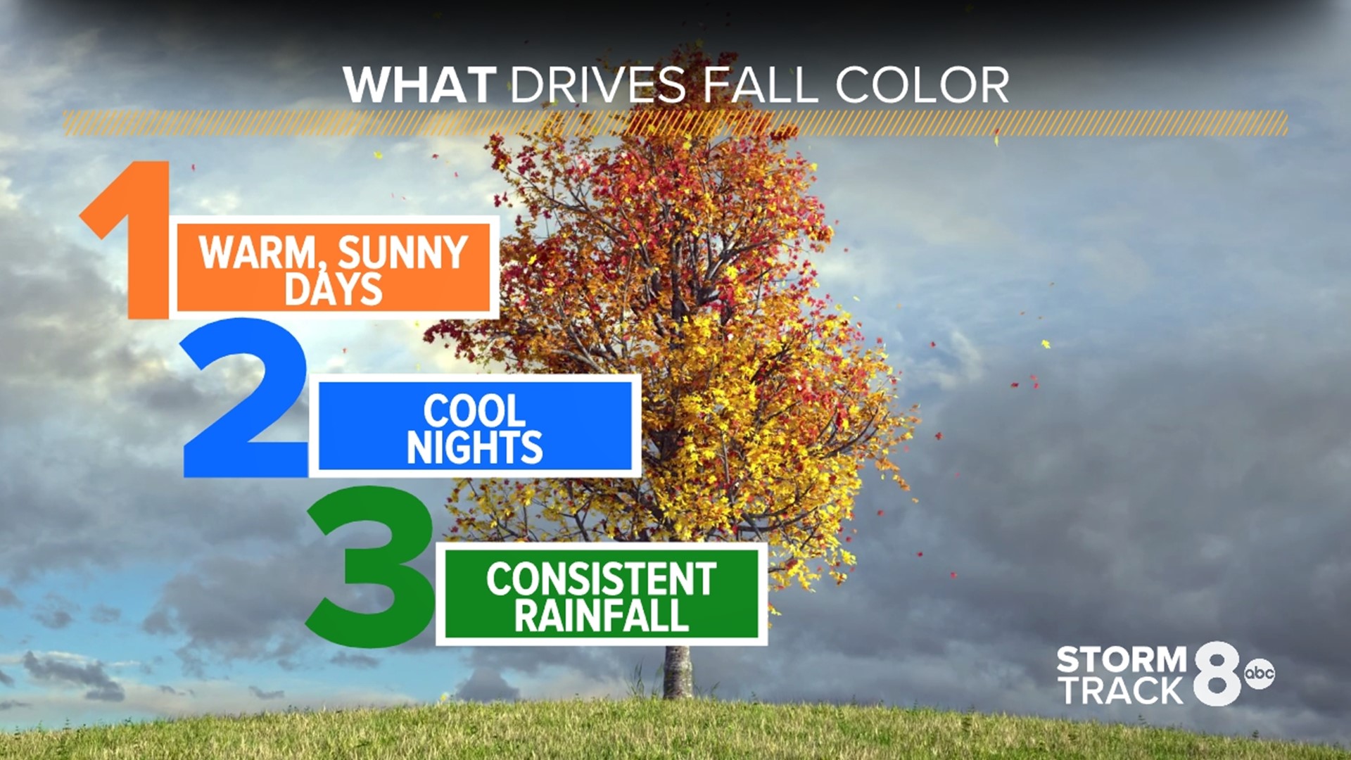 2022 Quad Cities Fall Color Forecast | Wqad.com