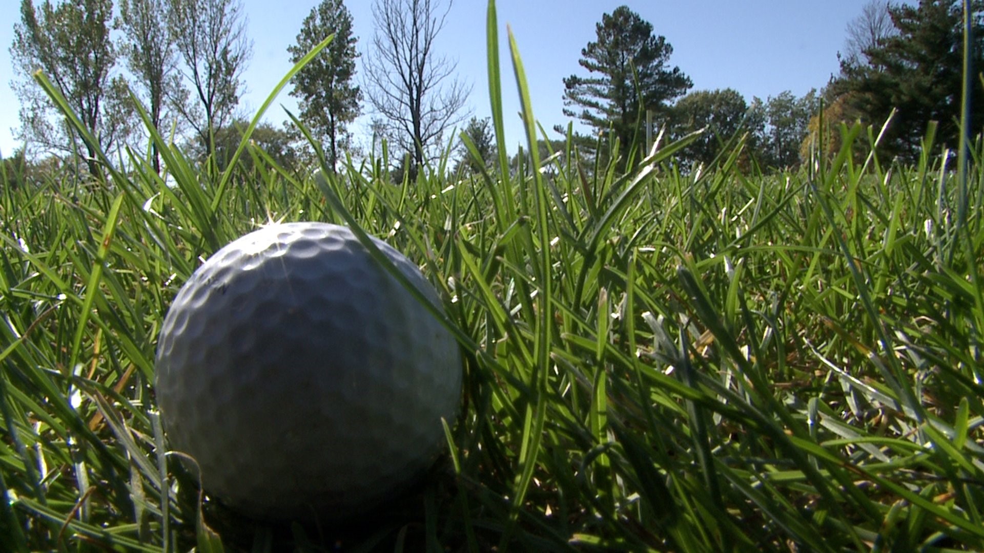 Palmer Hills Golf Course Expansion