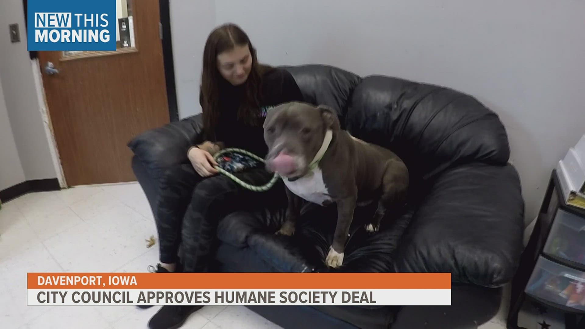 The city of Davenport is expected to keep using the humane society of Scott County along with a joint task force looking over any potential program changes.