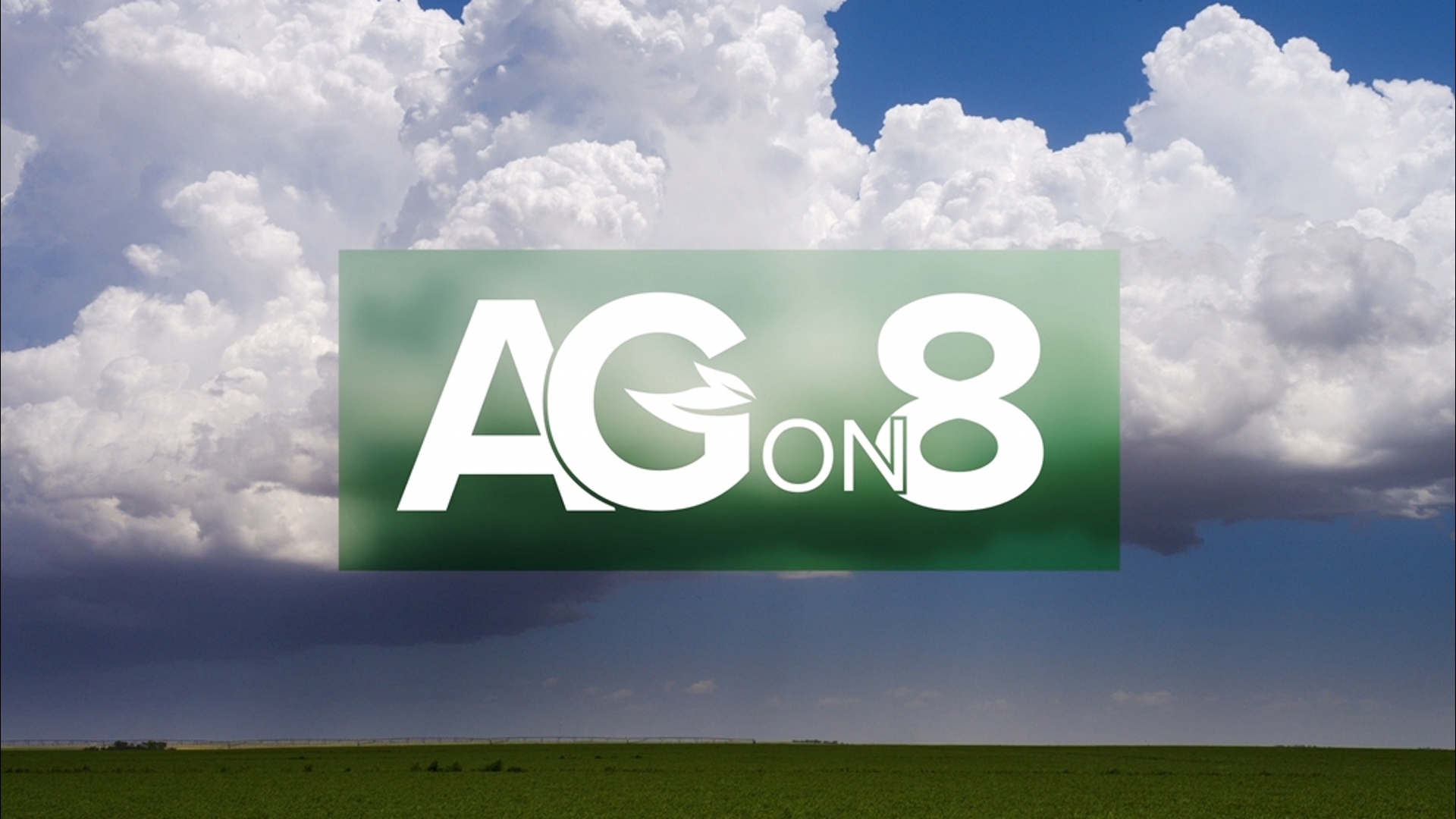 Weekly segment covering some of the top agriculture stories in the region compiled by News 8's Haley Bickelhaupt.