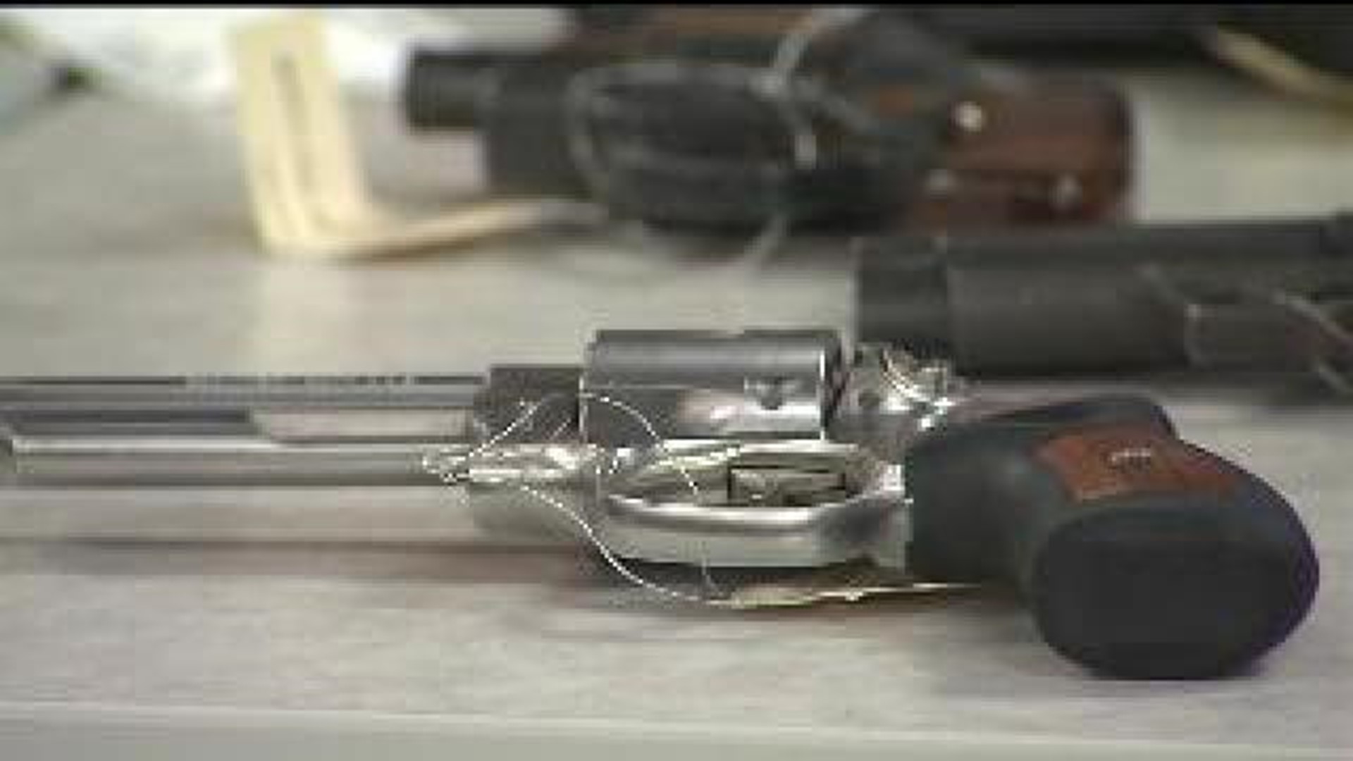 Iowa Law Allows Blind to Carry Guns