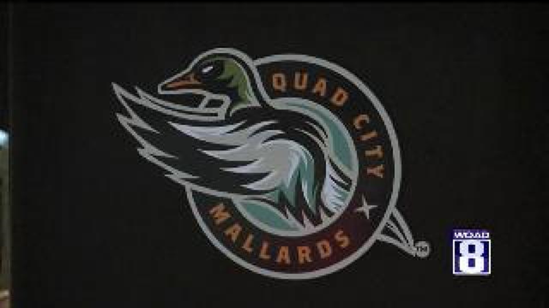 Fans React to Quad City Mallards Problems