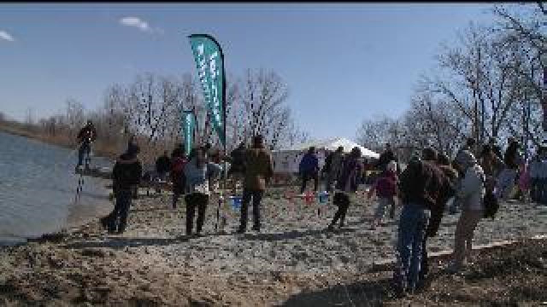 Chilly day for Polar Plunge