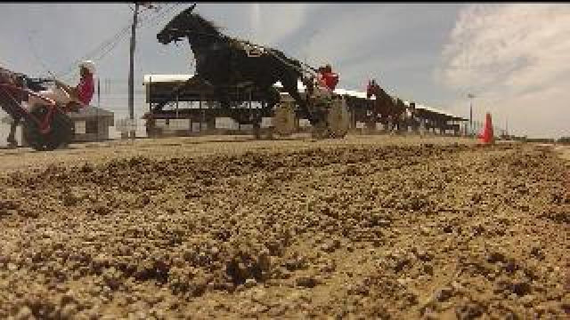 Horse Racers Fight to Keep Industry Alive