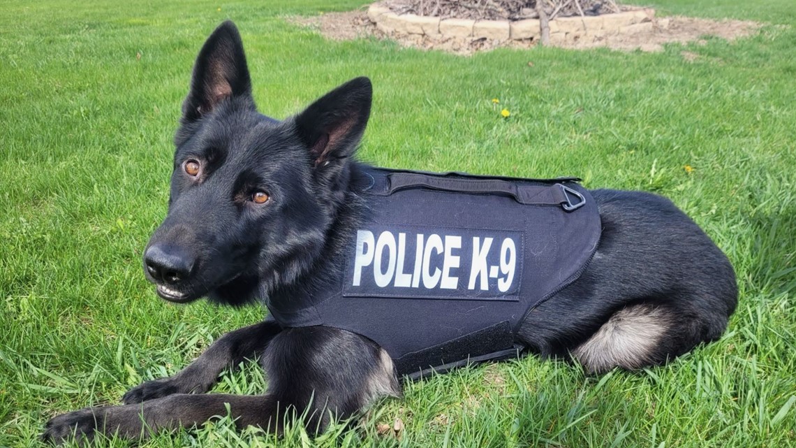 Rock Falls PD K9 Fahgo receives healthcare grant | wqad.com