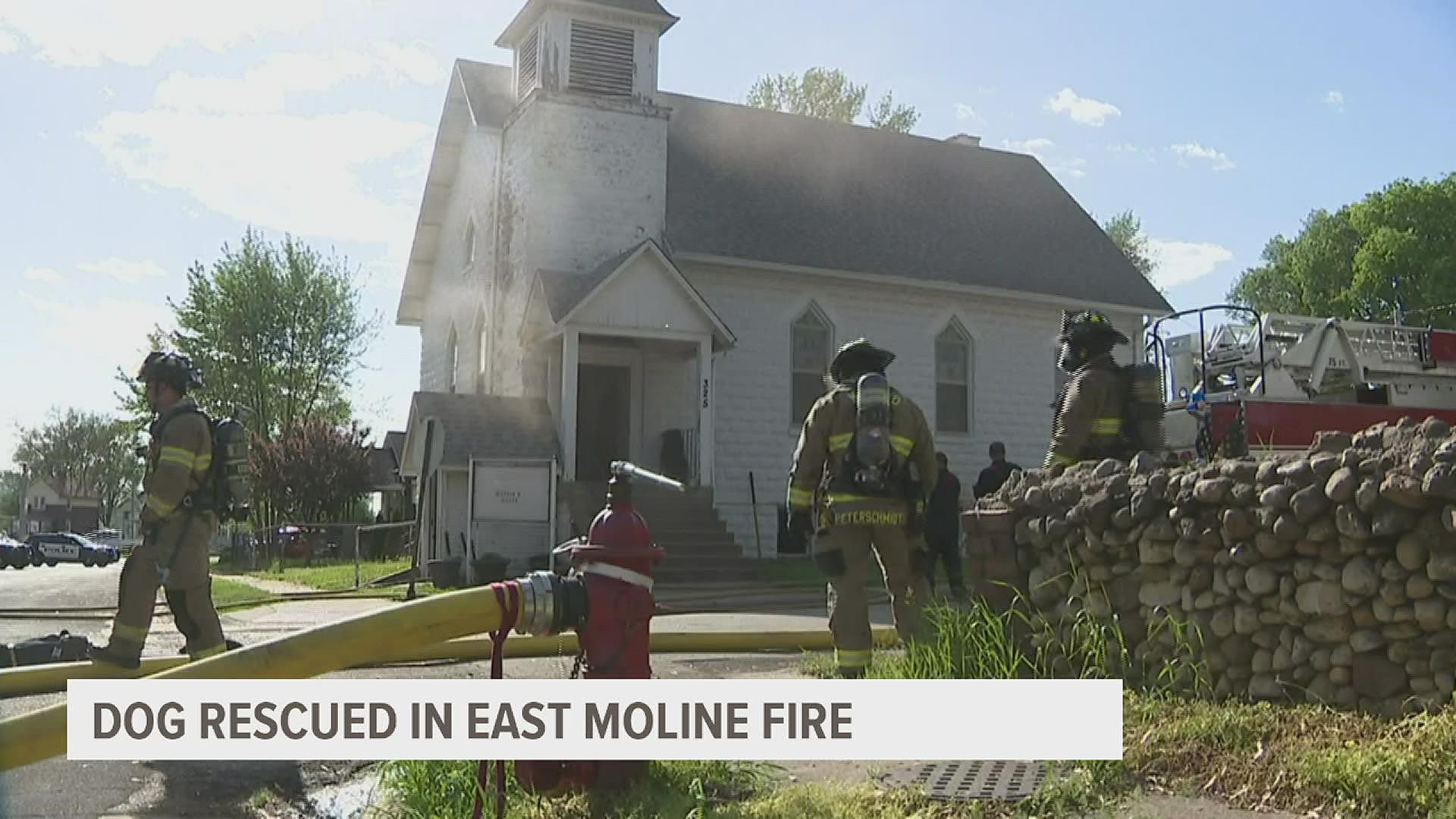 Crews rescued the dog from a building in the 300 block of 20th Street in East Moline.