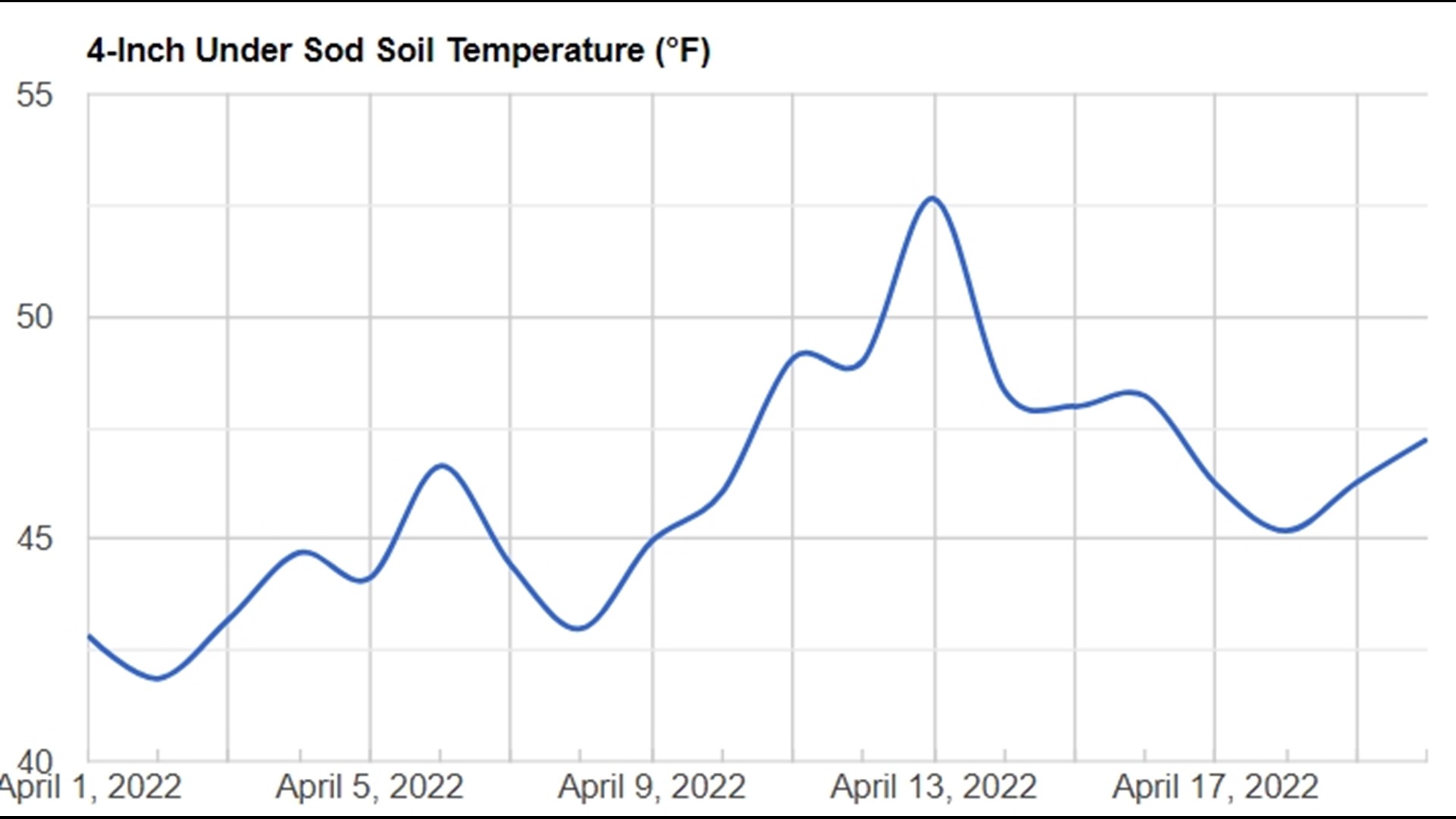 Mushroom season 2022 Tips to find more morels in the Quad Cities