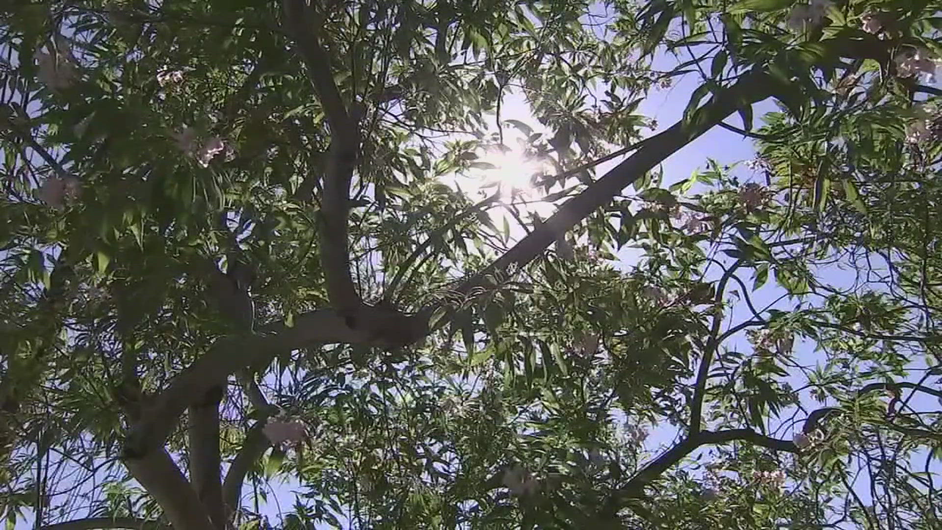 Volunteers and emergency response teams handed out water bottles to homeless communities during the heatwave. Cooling centers have also opened across the state.