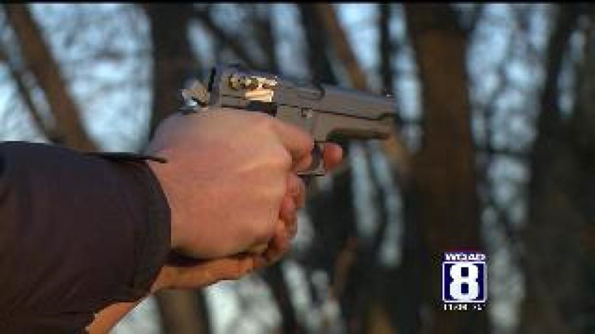 Illinois Senate considering propsoal for concealed carry