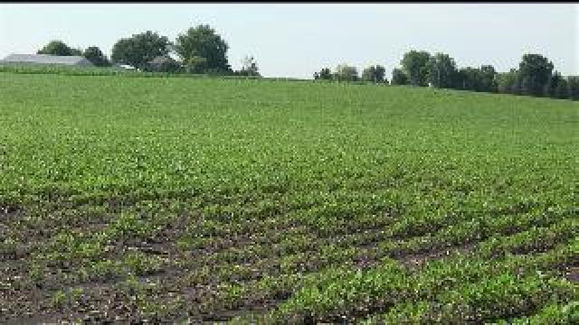 Cropland values increase