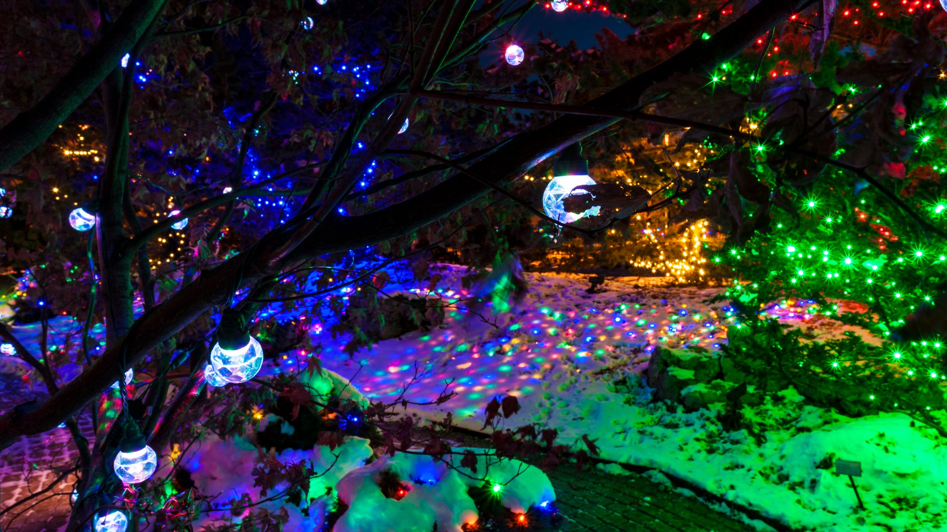 This event includes a winter lights display throughout the center's gardens, hot cocoa and a scavenger hunt.