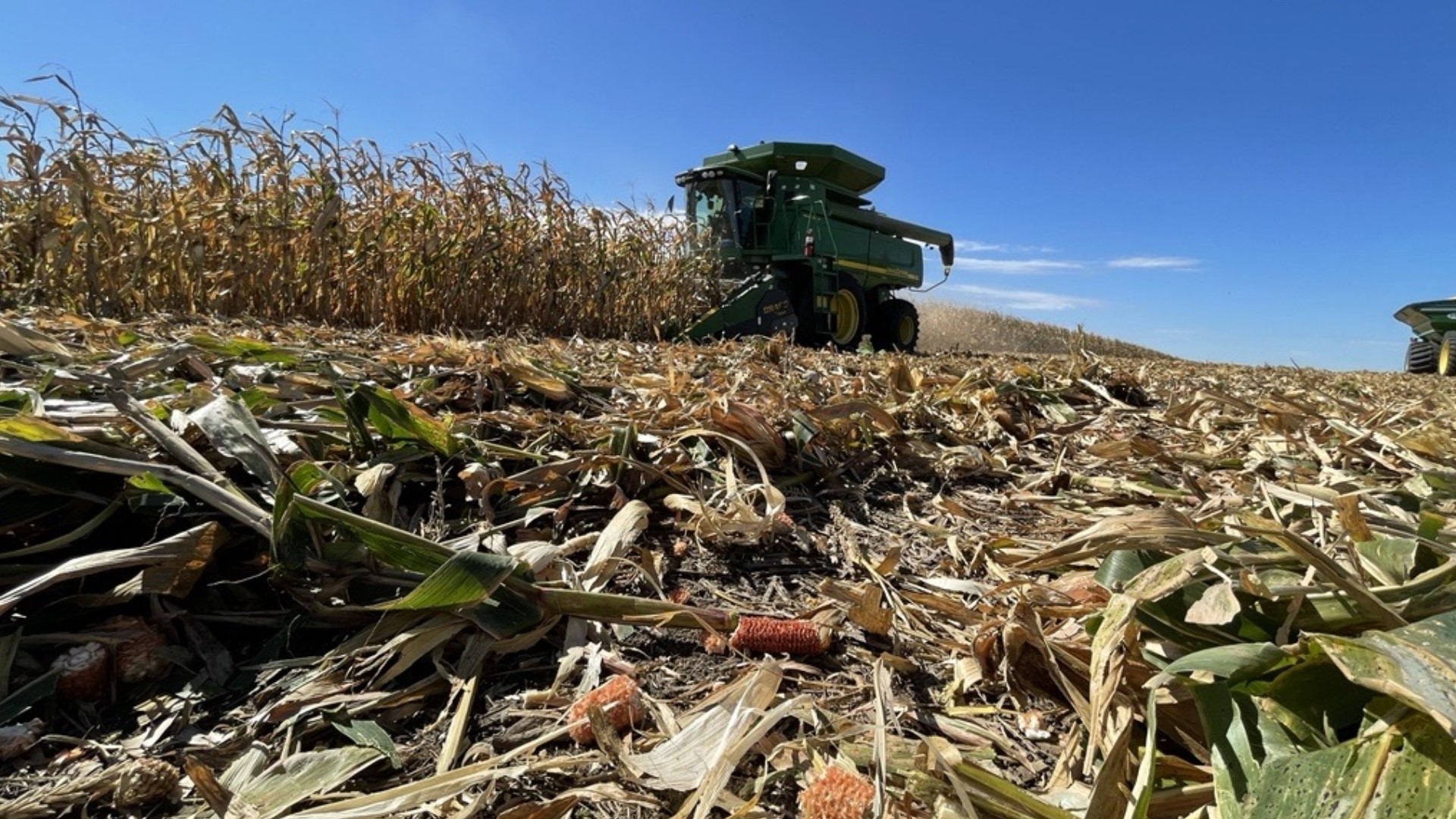 After a cold and rainy spring, near perfect summer growing conditions have led to a banner corn year. But area farmers say that good news might not last.