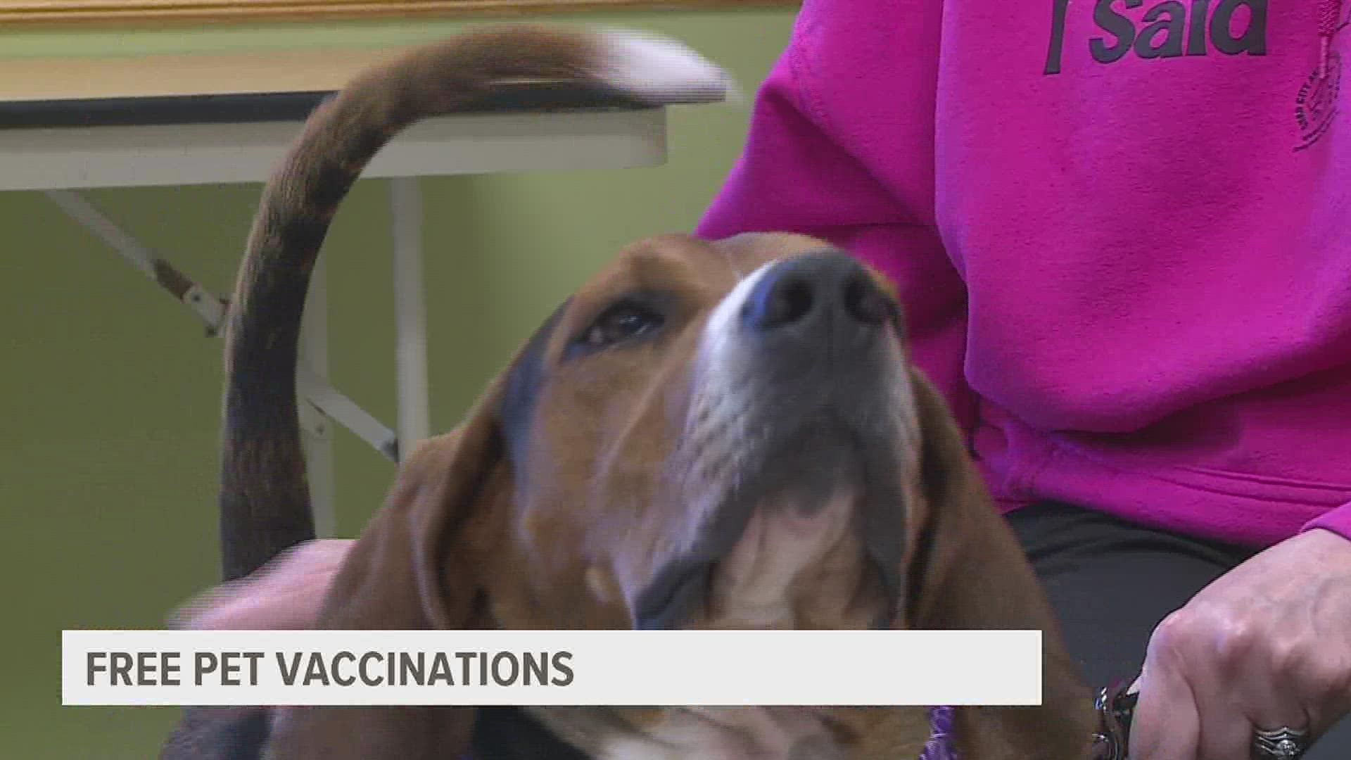 Does your furry loved one need vaccinating? Quad City Animal Welfare Center  has your back 