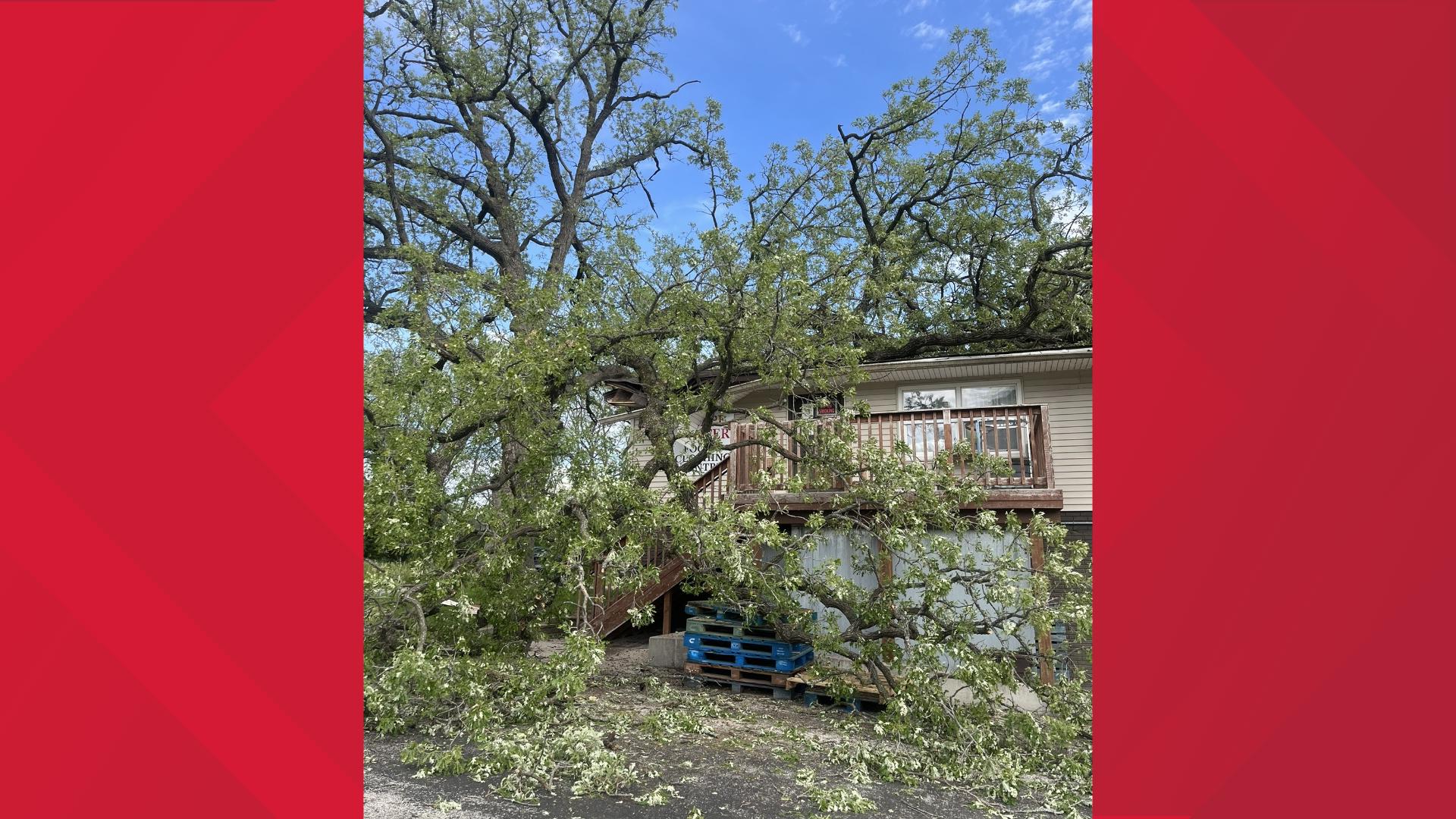 Agape Center searching for a new home after tree falls on it | wqad.com