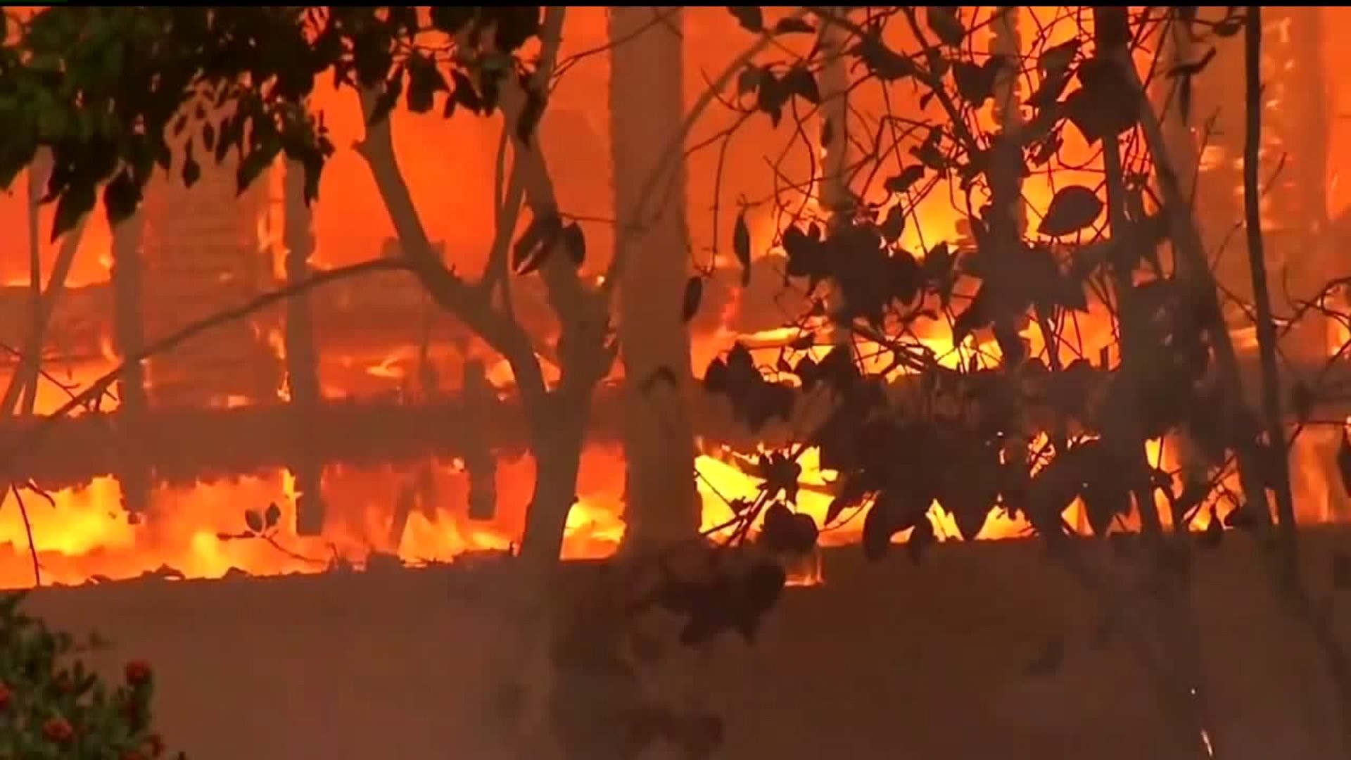 Northern California wildfires