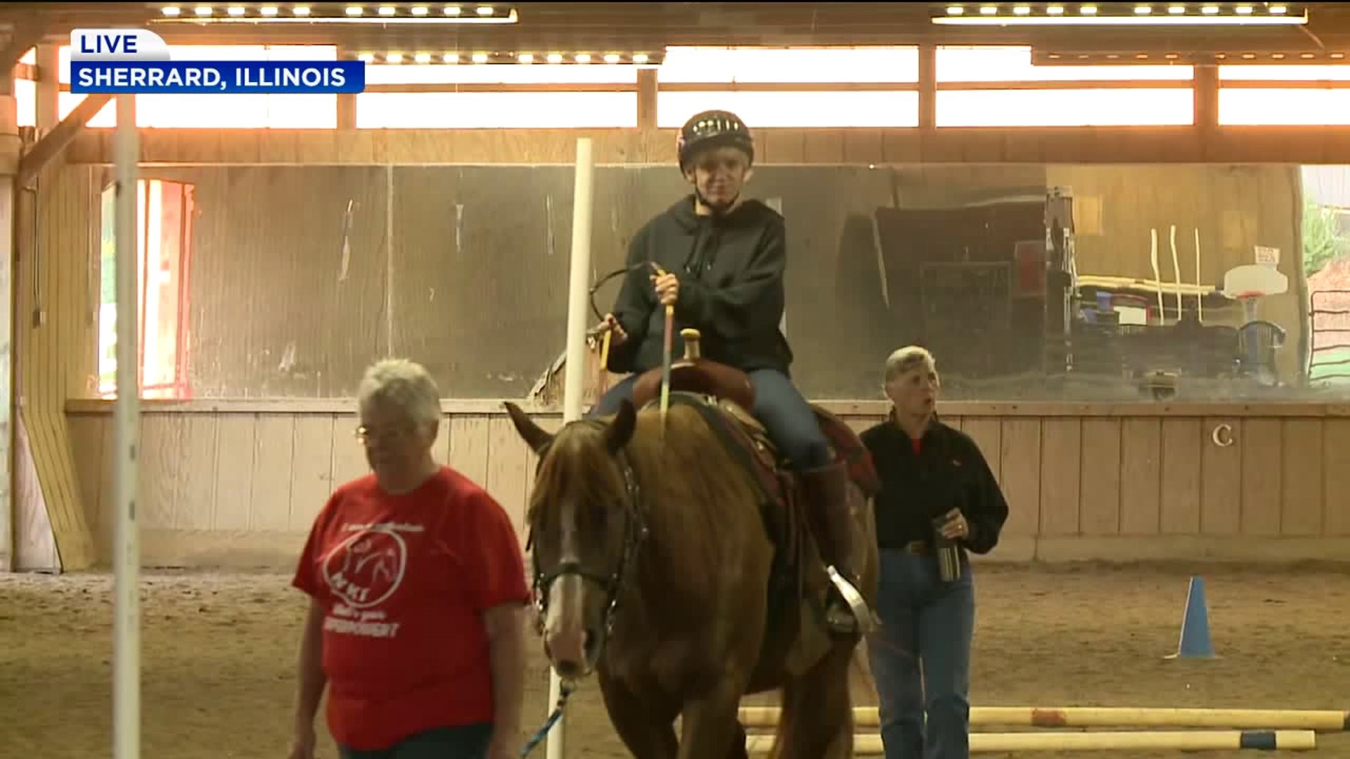 Demonstration of Therapeutic Horseback Riding