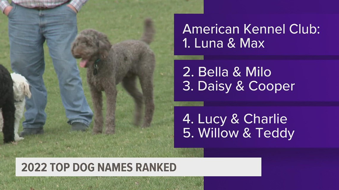What were the most popular dog names last year?