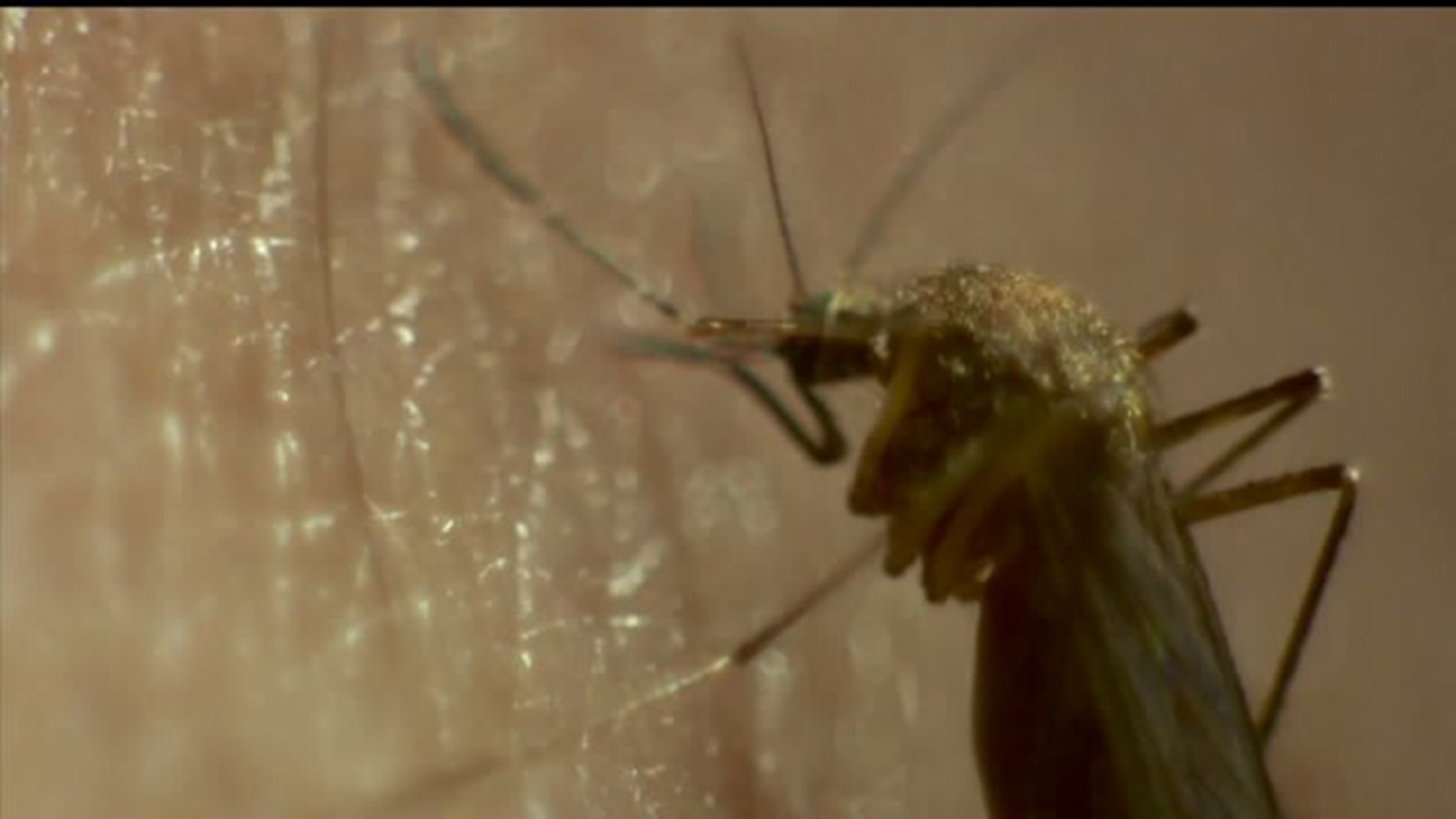 3 West Nile deaths in Illinois