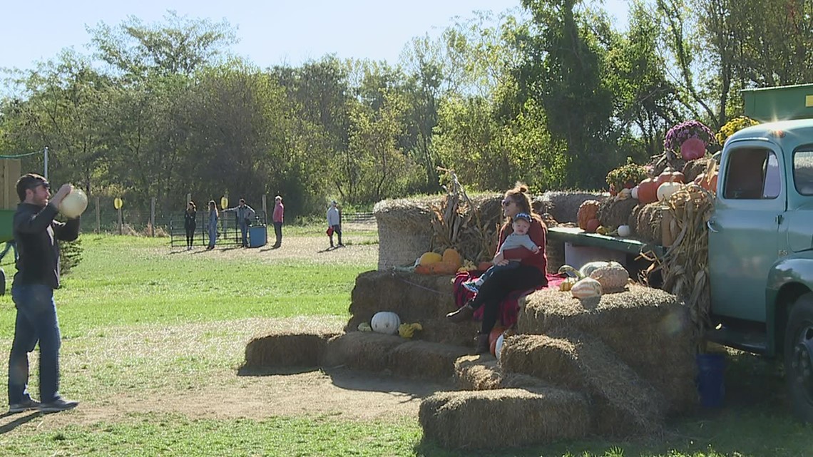 Find fall family fun at Corn Crib Nursery's annual Cribfest